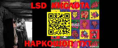 apvp Новодвинск